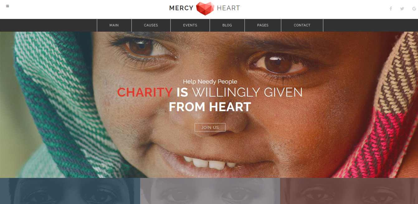 Screenshot of the Charity page